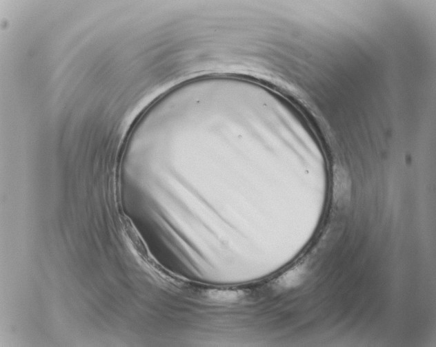 X0000052651513200507292318
