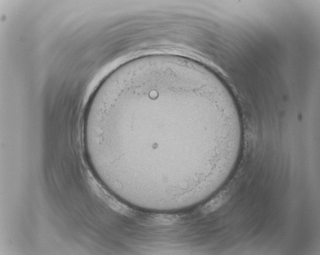 X0000052651514200507292318