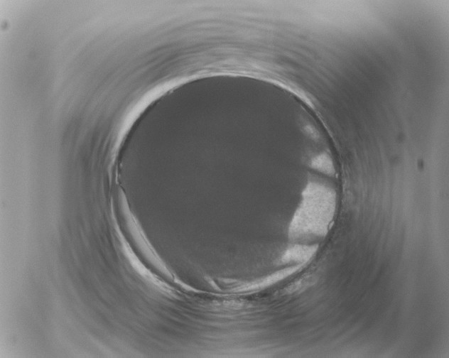 X0000052651515200507292318