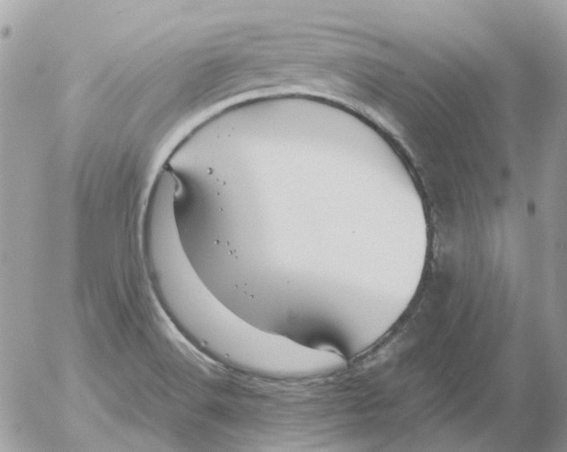 X0000052651516200507292318