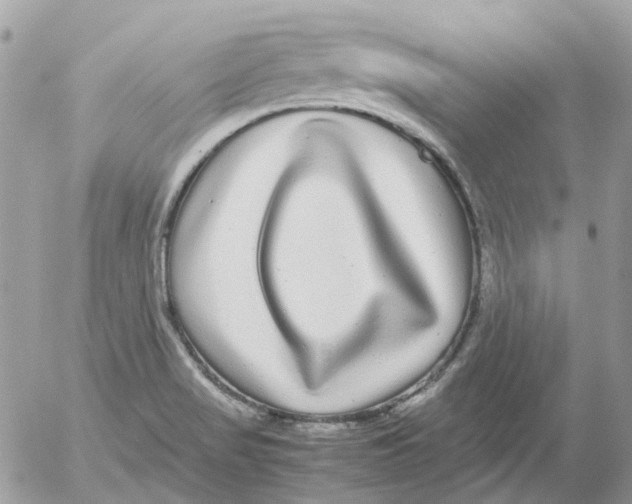 X0000052651517200507292318