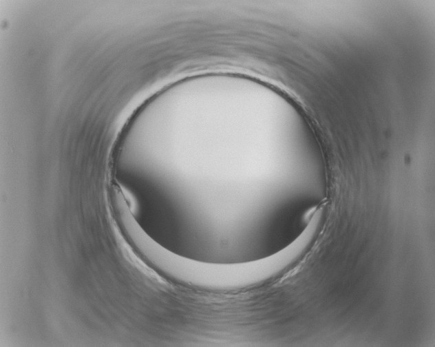 X0000052651518200507292318