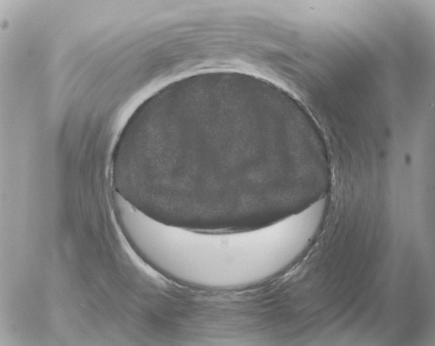 X0000052651519200507292318