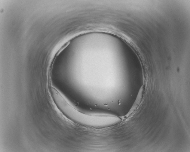 X0000052651520200507292318