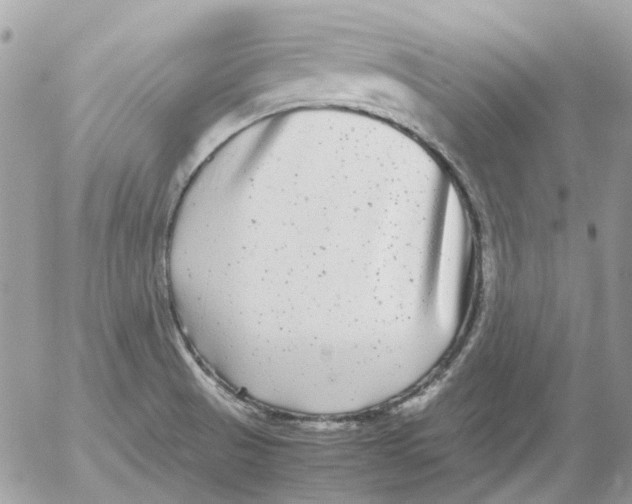 X0000052651521200507292318