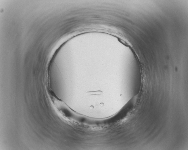 X0000052651523200507292318