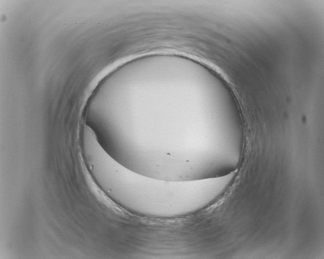 X0000052651526200507292318