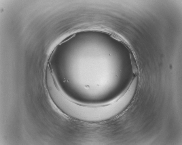 X0000052651528200507292318