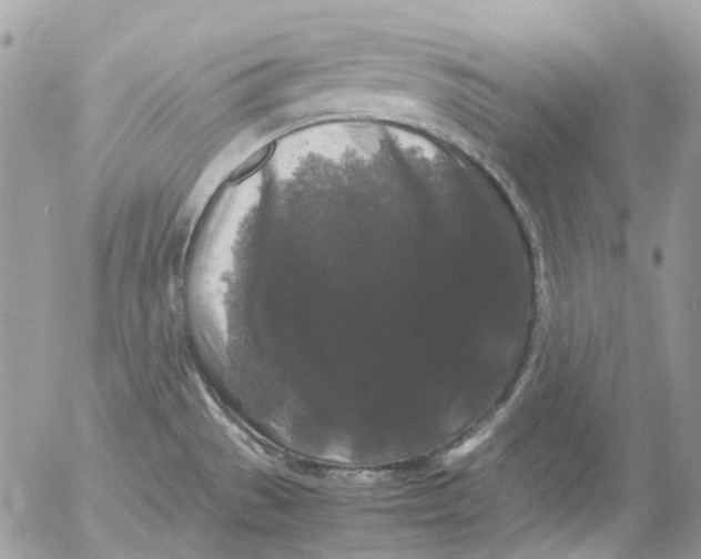 X0000052651529200507292318