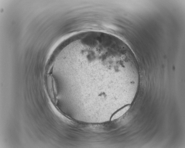 X0000052651531200507292318