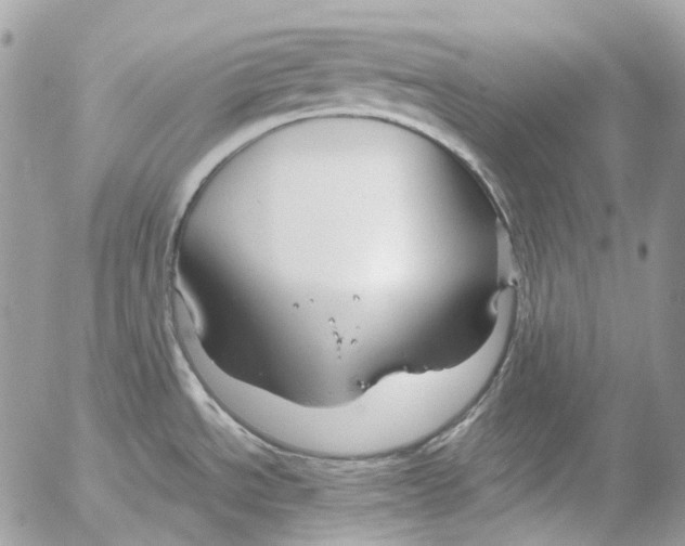 X0000052651534200507292318