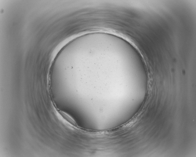 X0000052651535200507292318