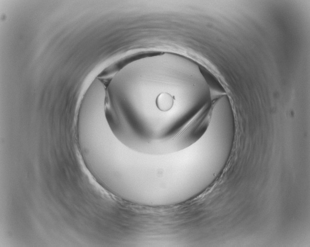 X0000052651536200507292318