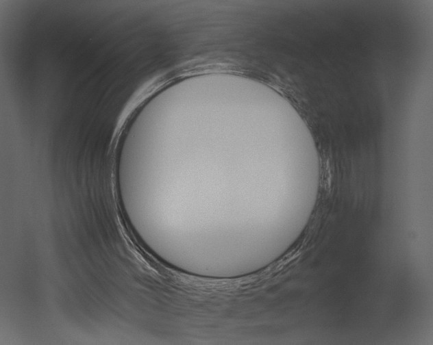 X0000052920004200507080813