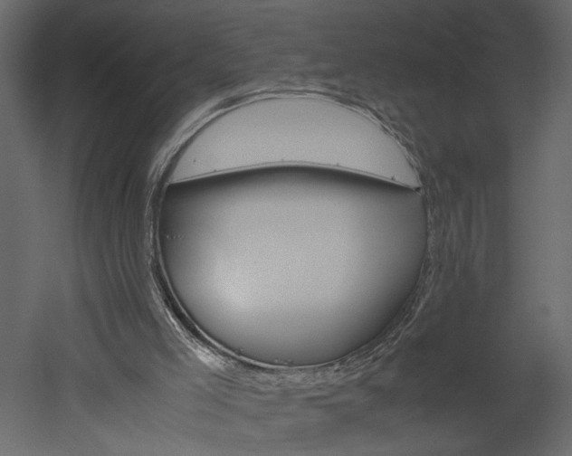 X0000052920005200507080813