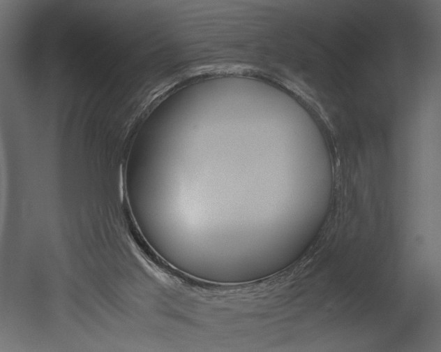 X0000052920013200507080812