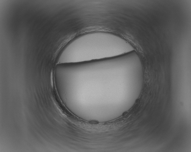 X0000052920014200507080812
