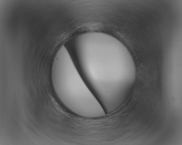X0000052920018200507080812