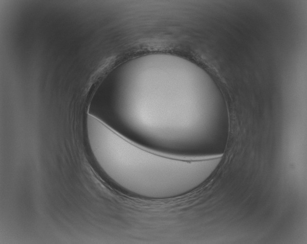 X0000052920019200507080812