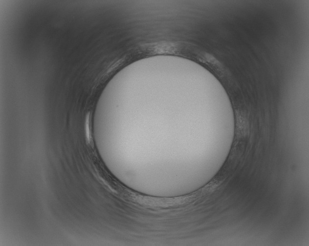 X0000052920028200507080812