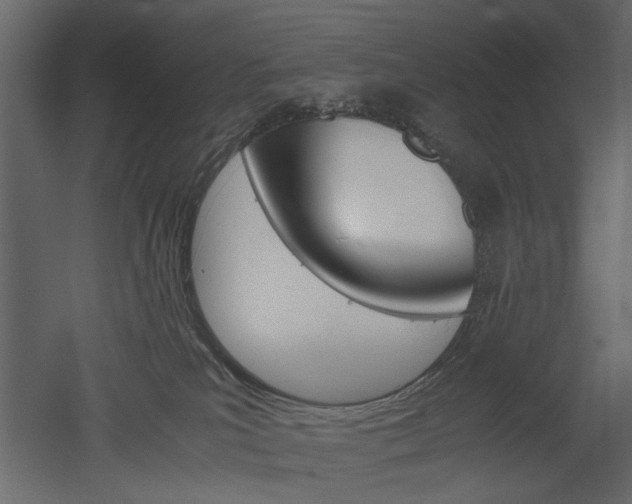 X0000052920039200507080812