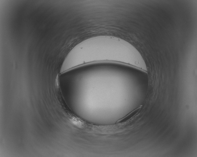 X0000052920041200507080812