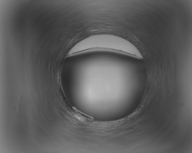X0000052920045200507080812