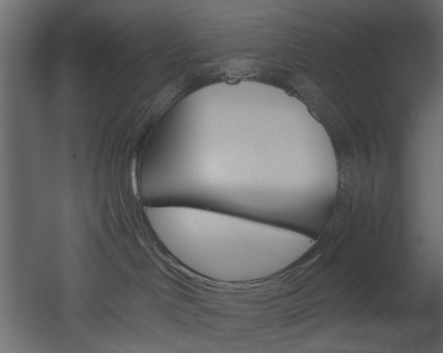 X0000052920046200507080812
