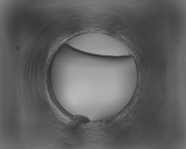 X0000052920049200507080811