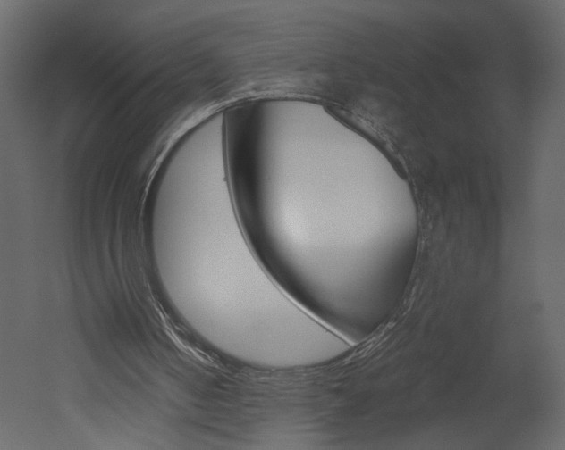 X0000052920050200507080811