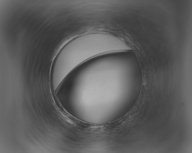 X0000052920052200507080811
