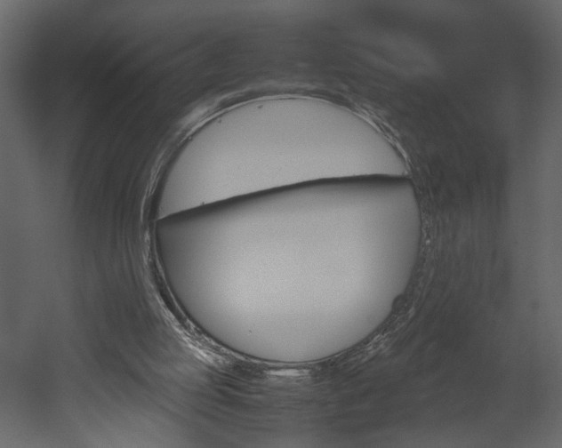 X0000052920053200507080811