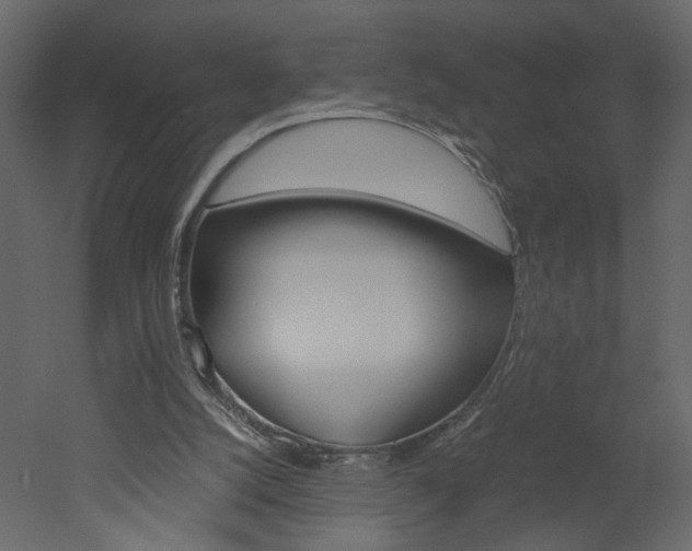 X0000052920056200507080811