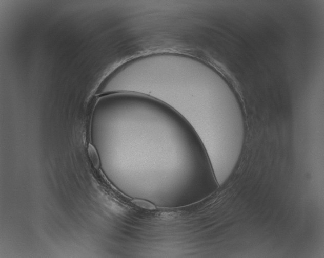 X0000052920060200507080811