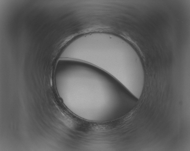 X0000052920062200507080811