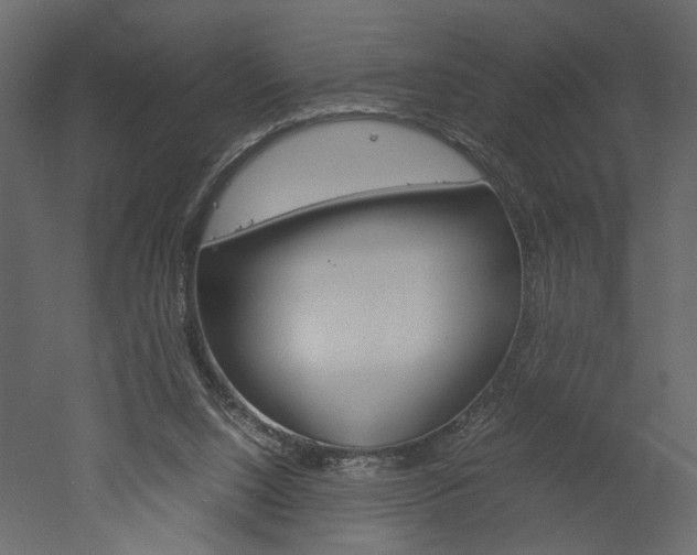 X0000052920064200507080811
