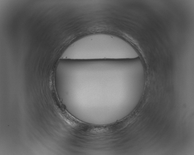 X0000052920065200507080811