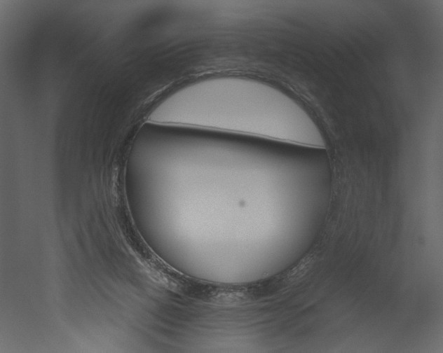 X0000052920066200507080811