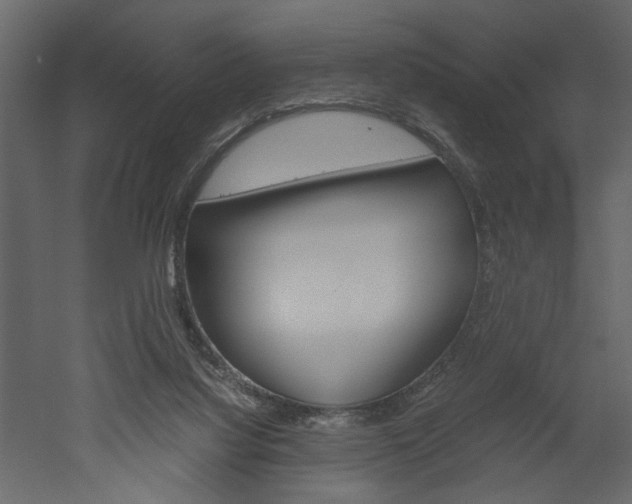 X0000052920068200507080811