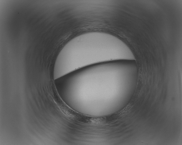 X0000052920070200507080811