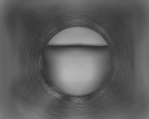 X0000052920073200507080811