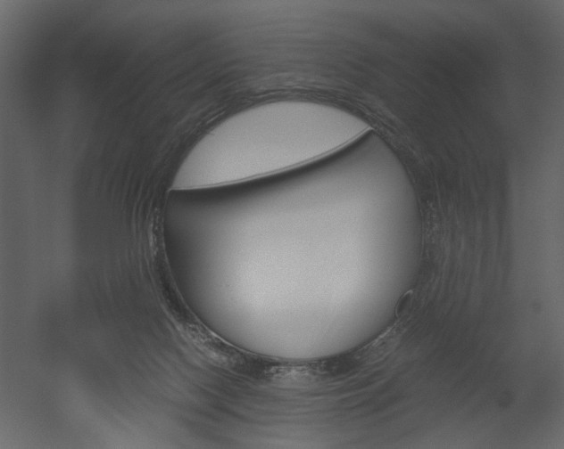 X0000052920074200507080811