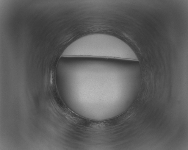 X0000052920075200507080811