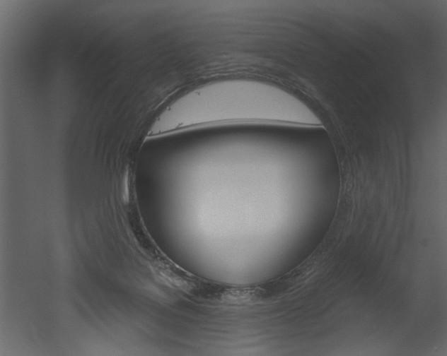 X0000052920076200507080811