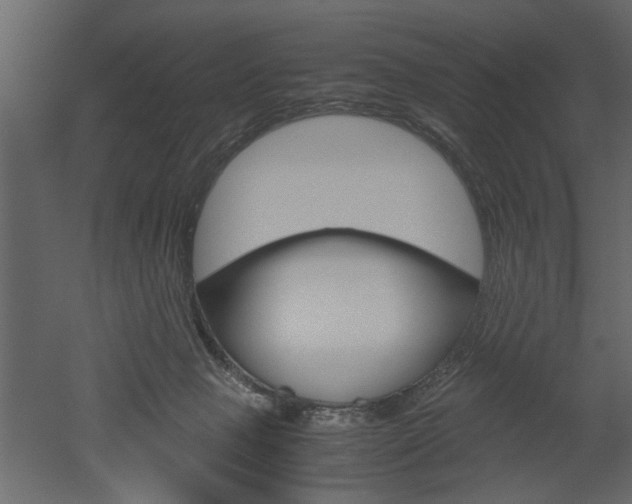 X0000052920077200507080812