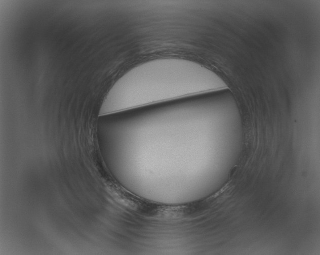 X0000052920078200507080812