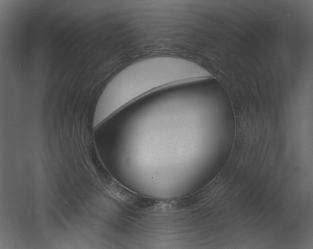 X0000052920080200507080812