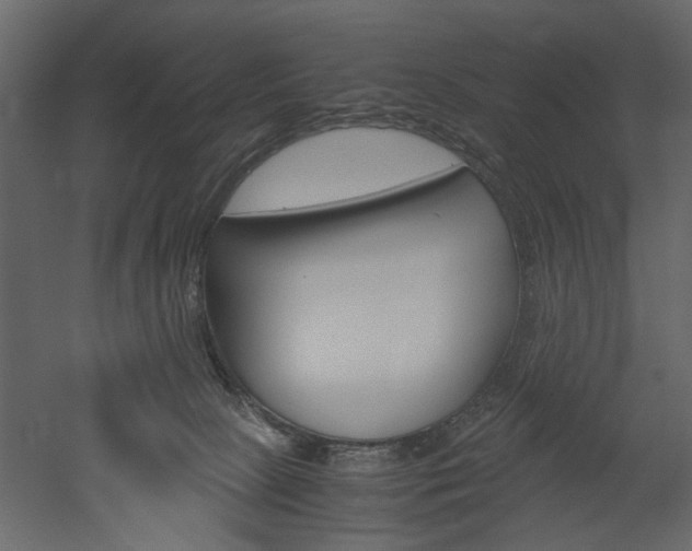 X0000052920081200507080812