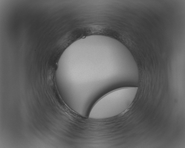 X0000052920082200507080812