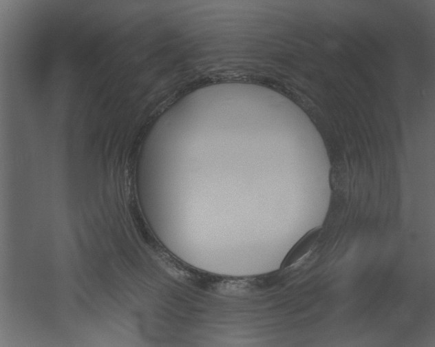 X0000052920086200507080812